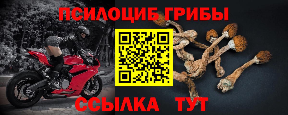 Псилоцибиновые грибы ЛСД  наркотики  Баксан  Вход с VPN 